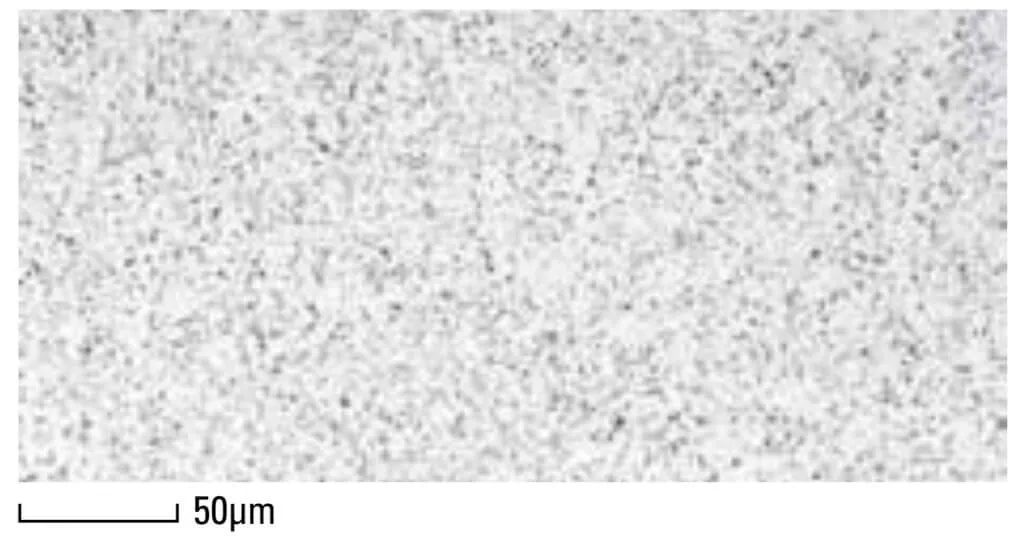 Mikrostruktur des Matrix-Warmarbeitsschnellstahls DRM1 im Stabzentrum Ø 100mm Mikrostruktur des Matrix-Warmarbeitsschnellstahls DRM1 im Stabzentrum Ø 100mm
